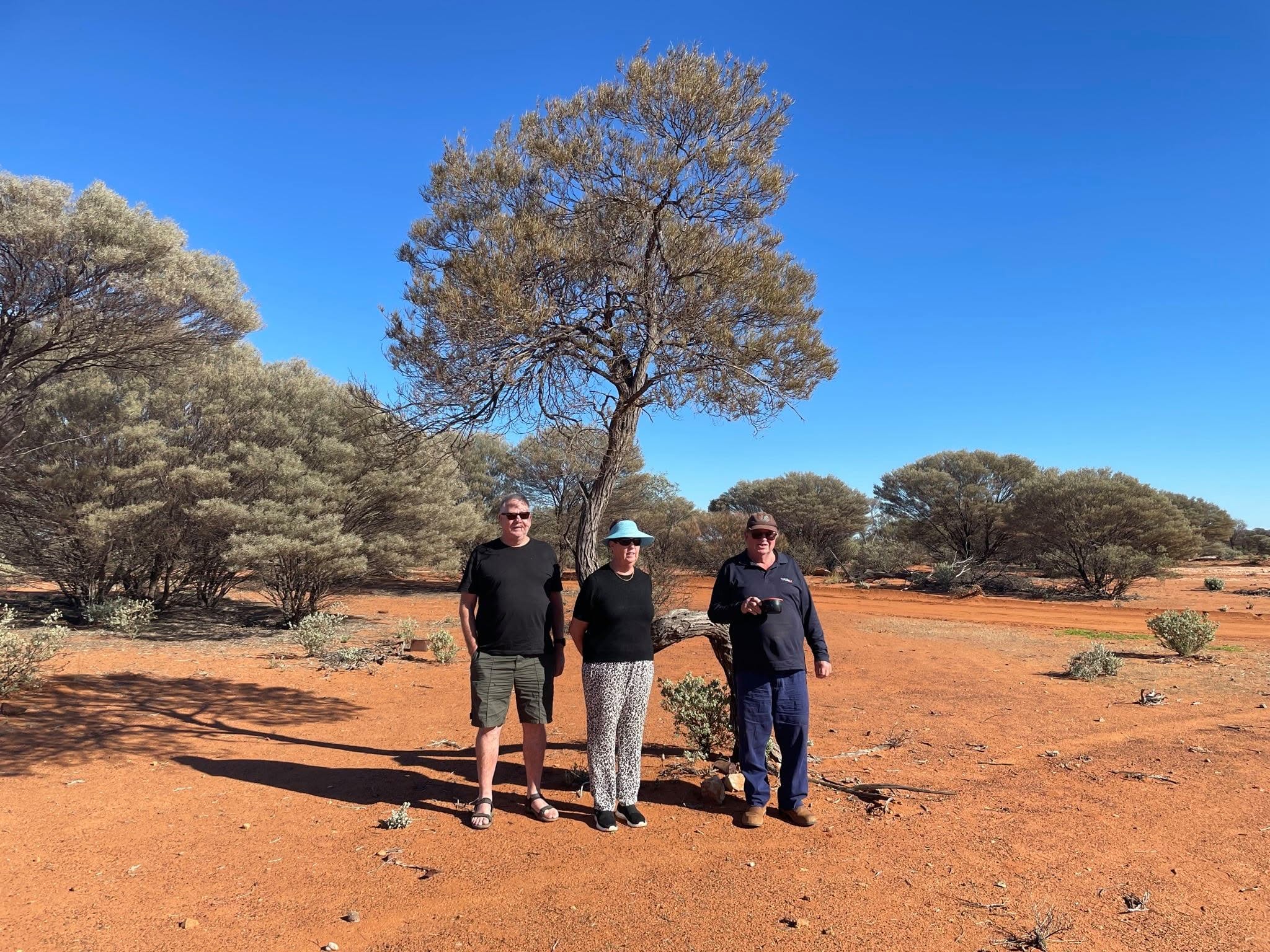 Bent Tree – 2021