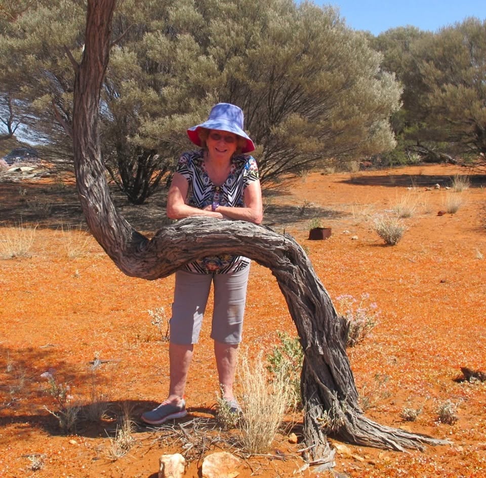 Bent Tree – 2015