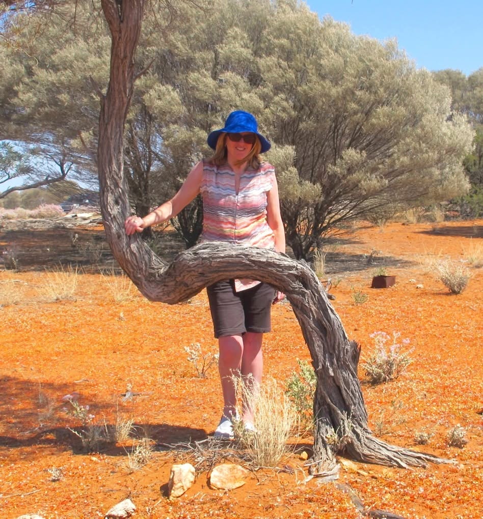 Bent Tree – 2015