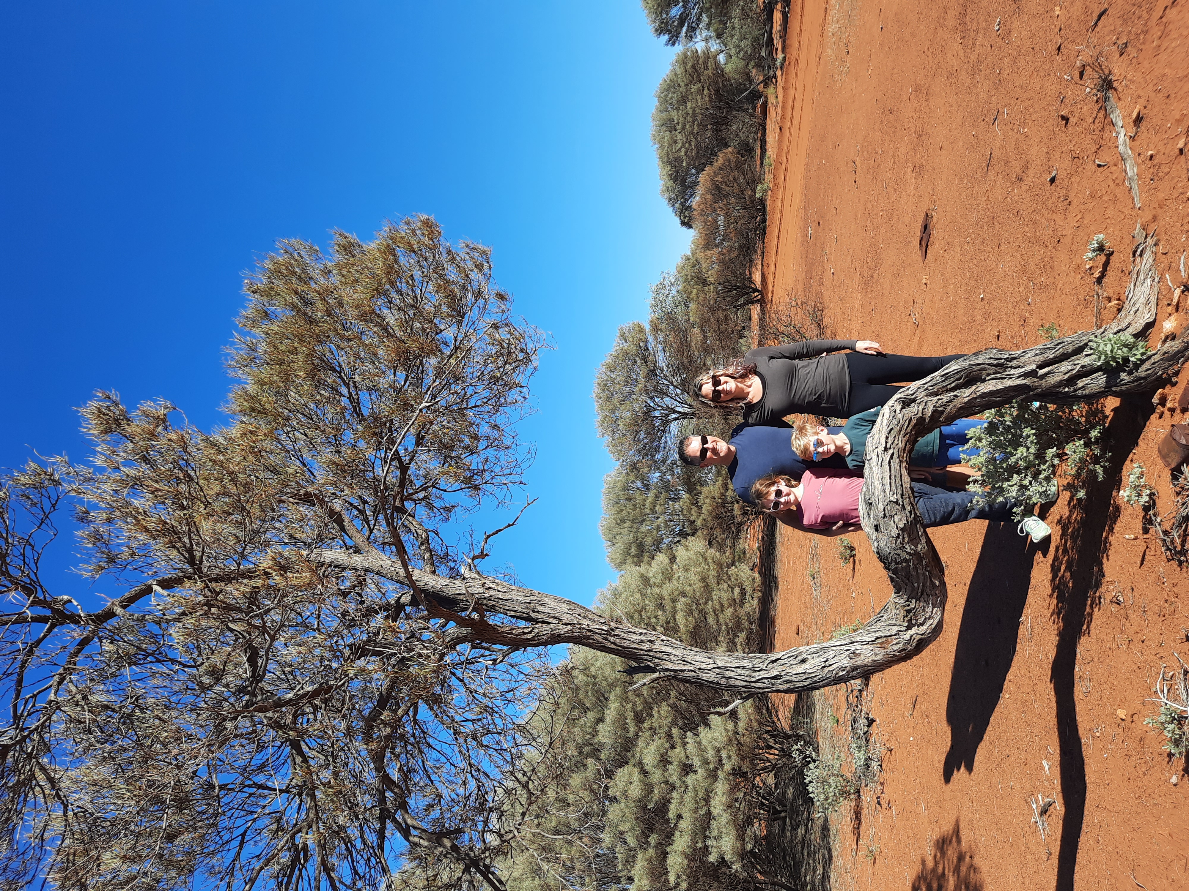 Bent Tree – 2021