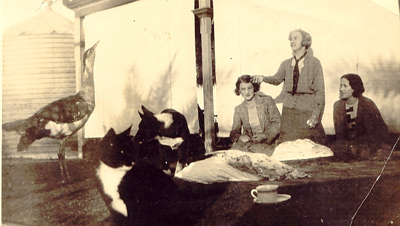 Judy, Irene and Dot Kirby. Feeding the bush turkey at Thundelarra.