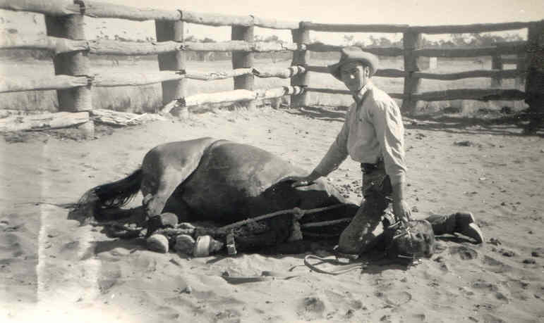 Classic Greg with horses